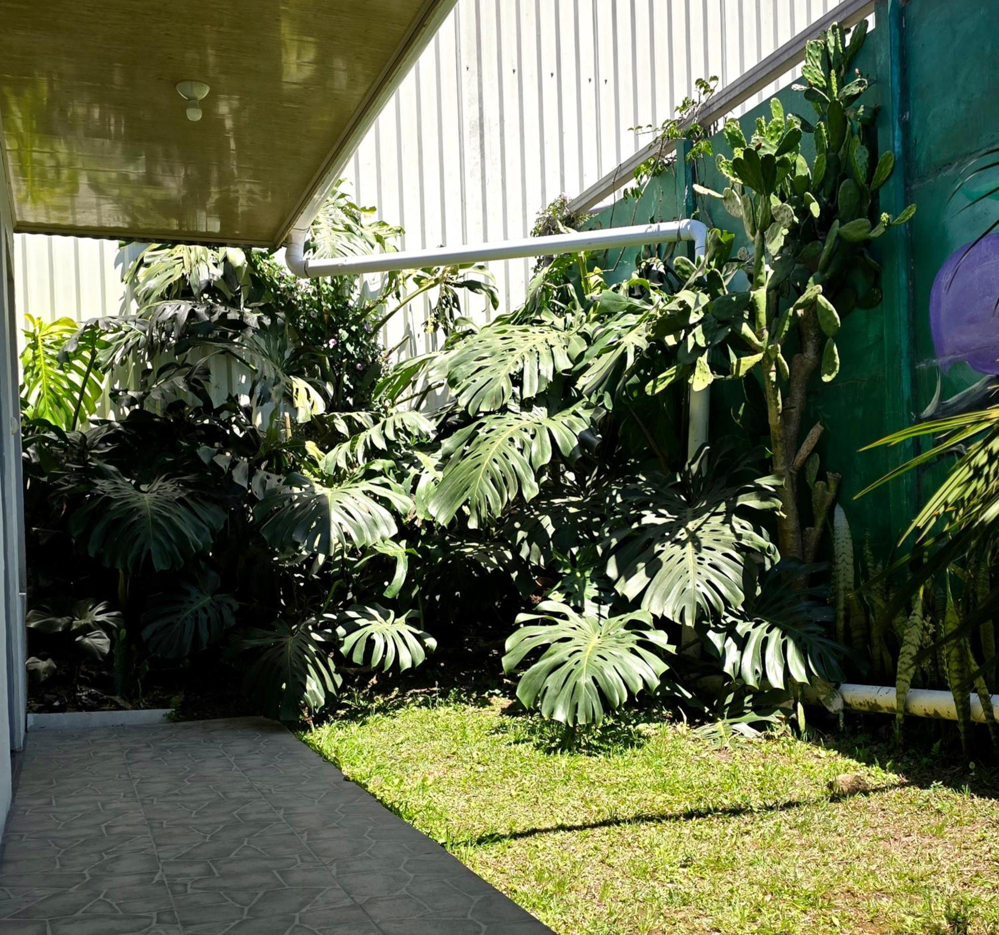 Hostel Cattleya - Monteverde, Costa Rica Экстерьер фото