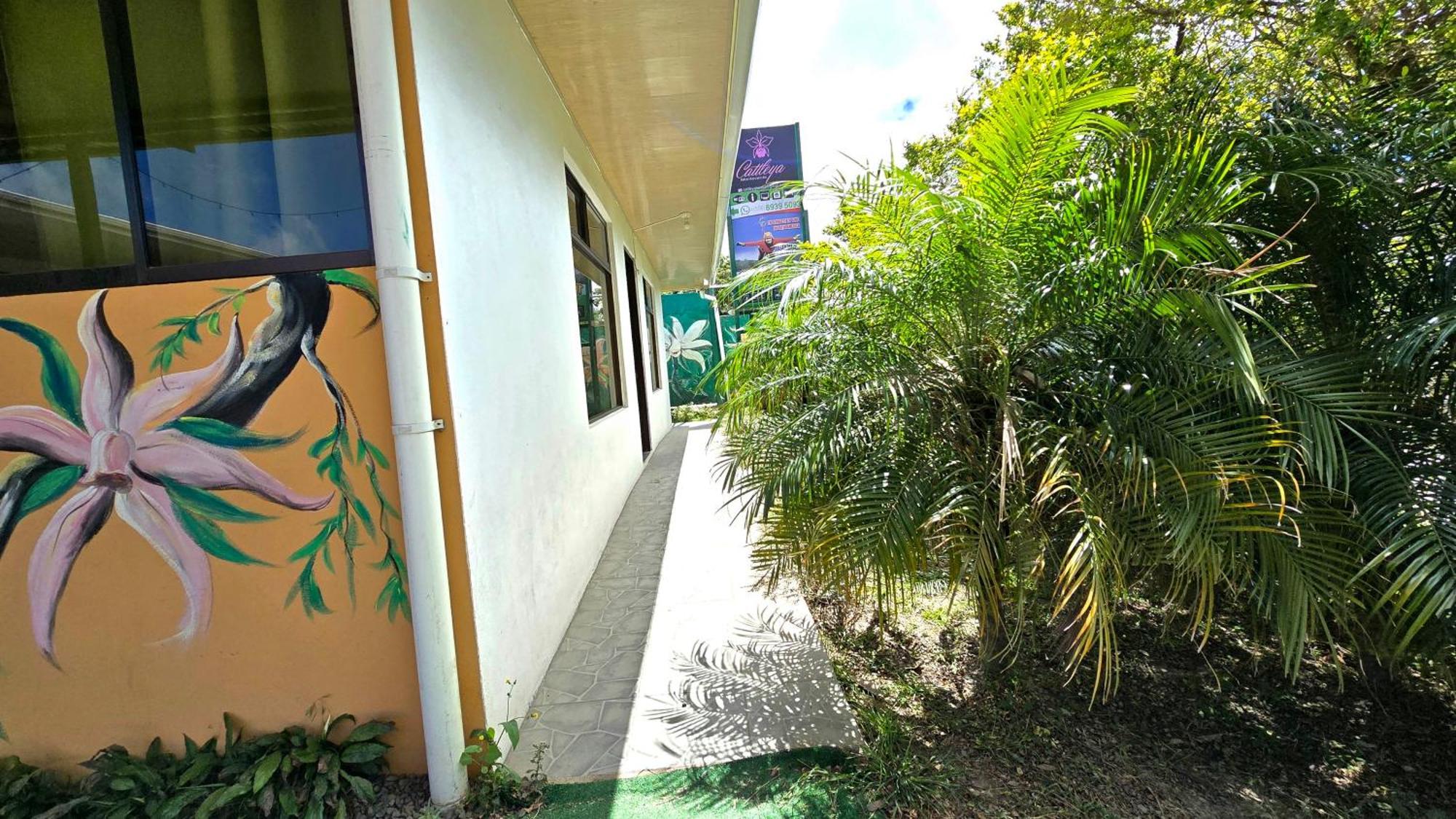 Hostel Cattleya - Monteverde, Costa Rica Экстерьер фото